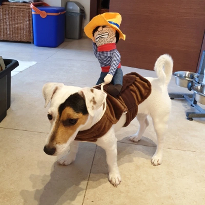 ID-2  Roupinha cowboy para cachorro